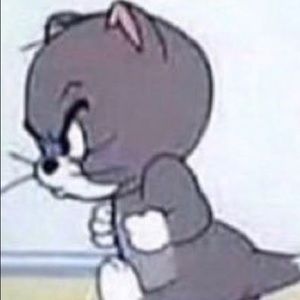 Meet your Posher, Teddy